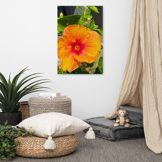 Orange Flower Canvas