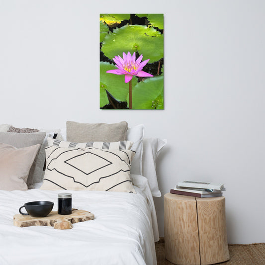 Metal print of Pink Lotus Flower